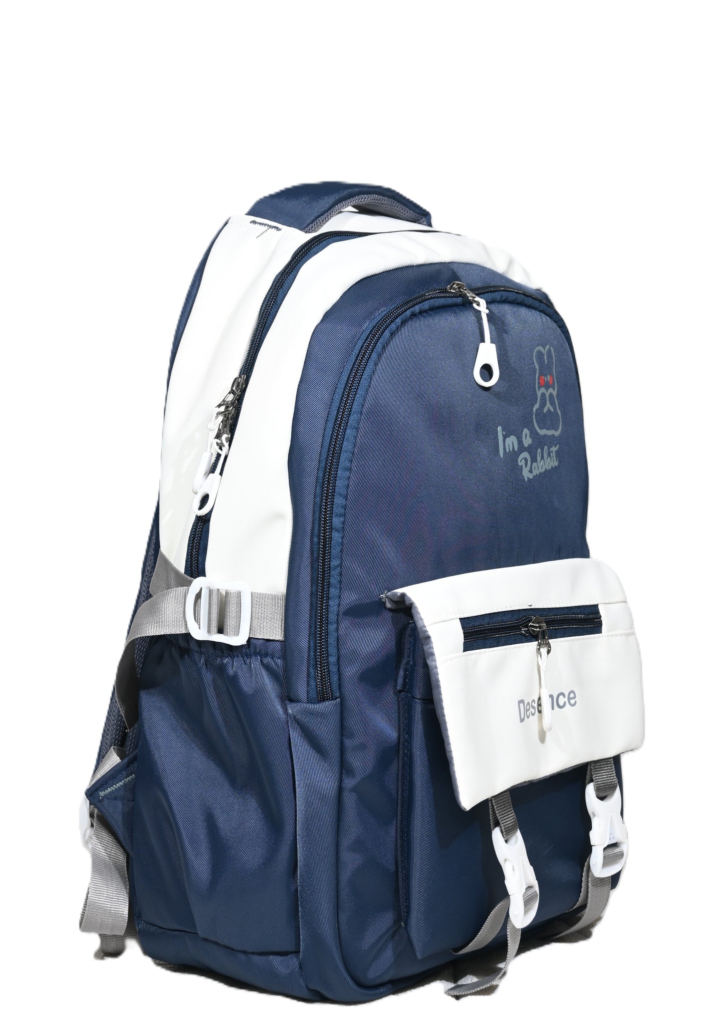 Casual 25L school bag & college backpack