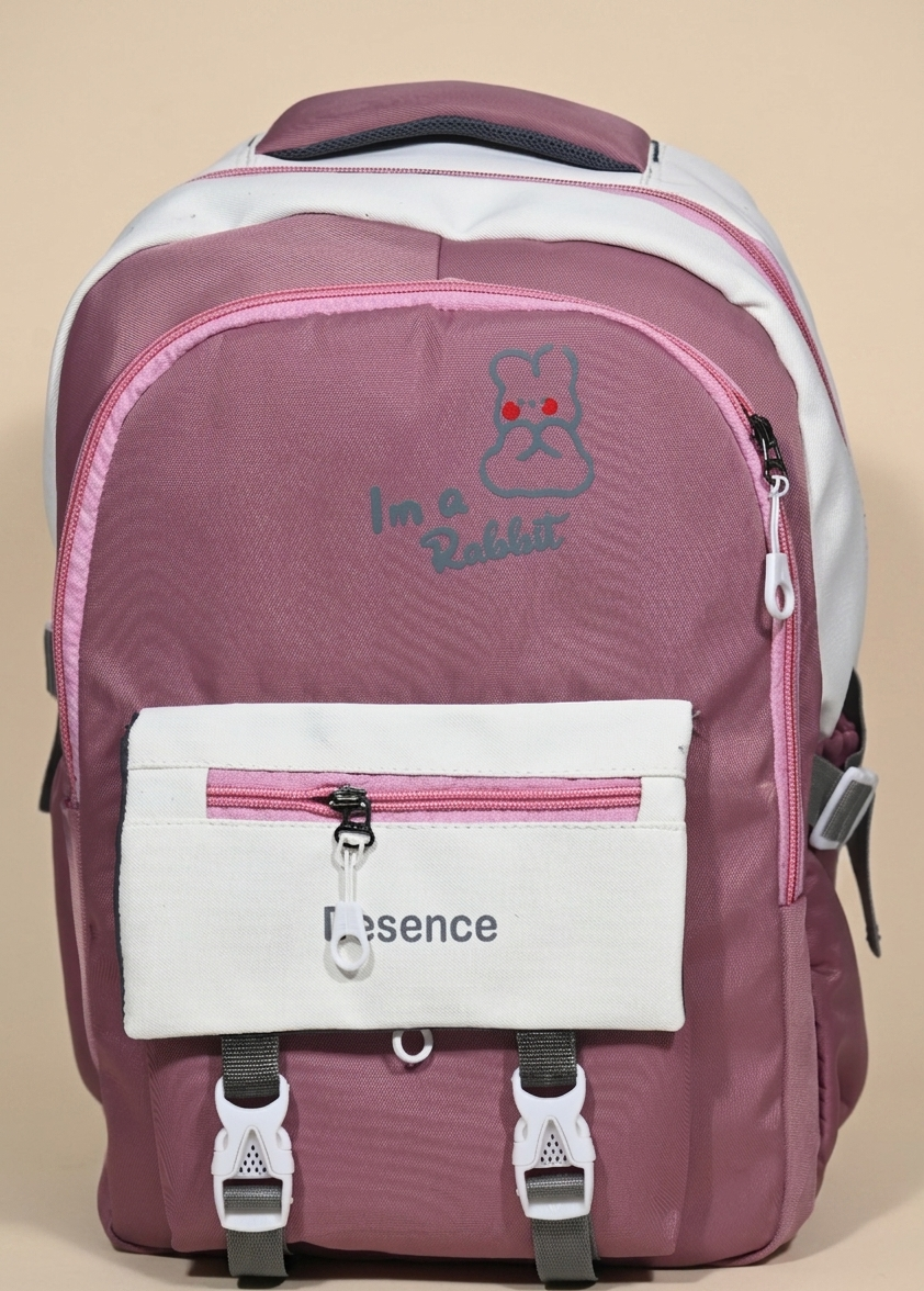 Casual 25L school bag & college backpack