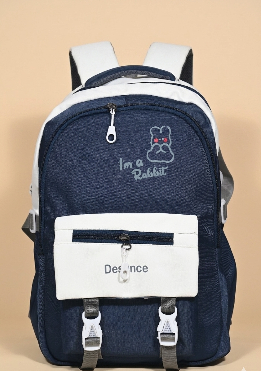 Casual 25L school bag & college backpack