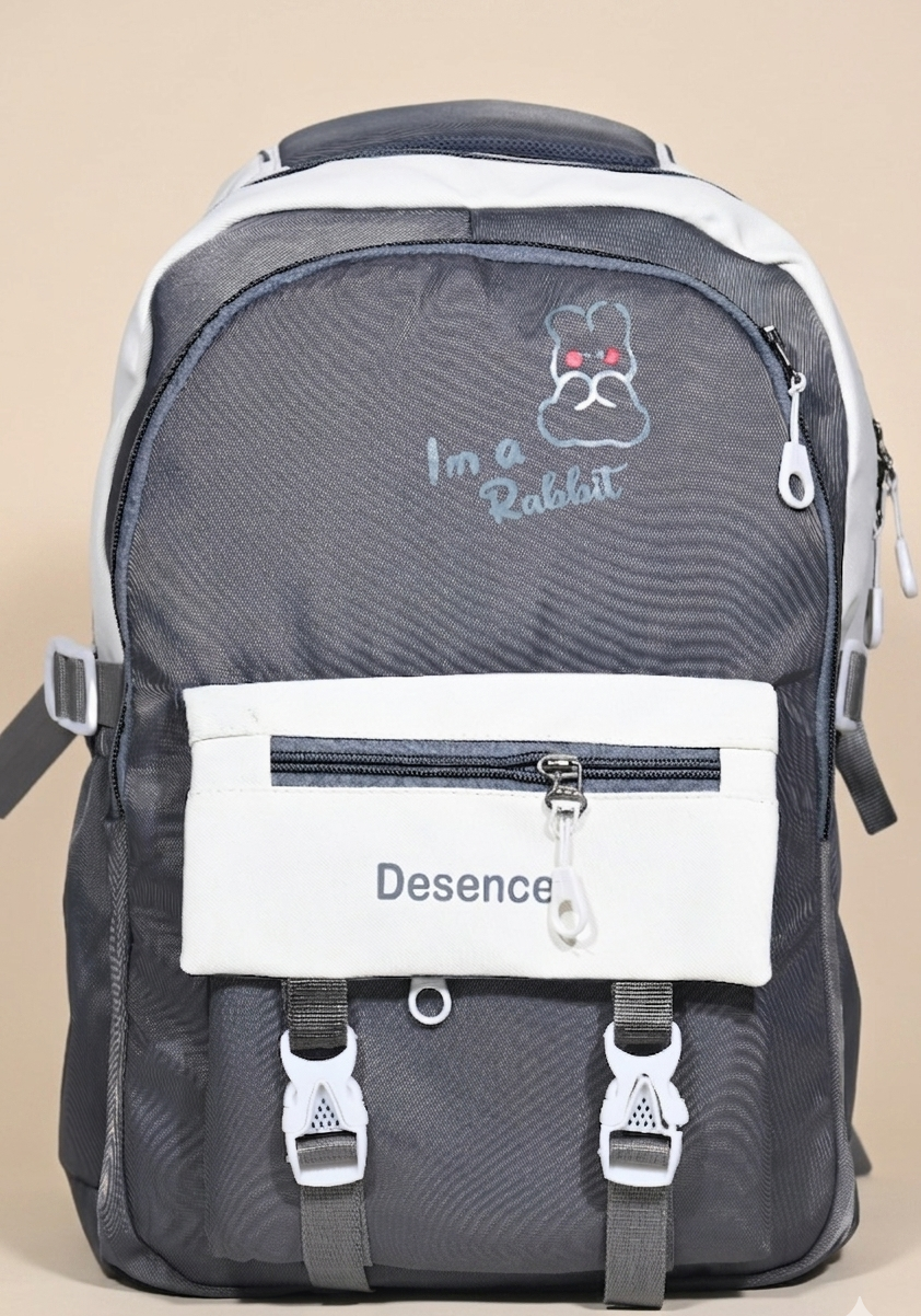 Casual 25L school bag & college backpack